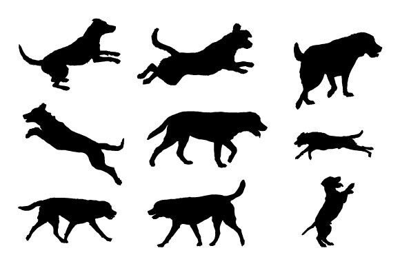 Dog SVG Graphics Design