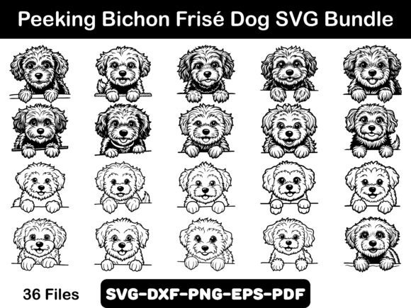 Peeking Bichon Frisé Dog SVG Bundle Review