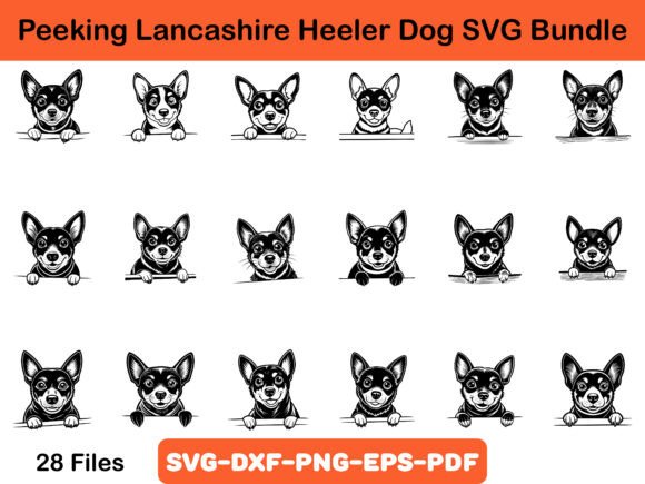 Peeking Lancashire Heeler Dog SVG Bundle Review