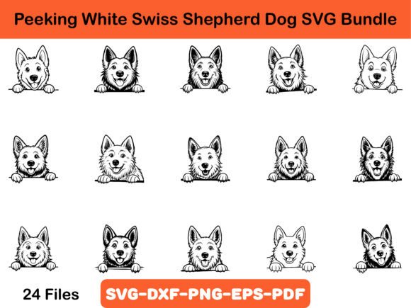 Peeking White Swiss Shepherd Dog SVG Review